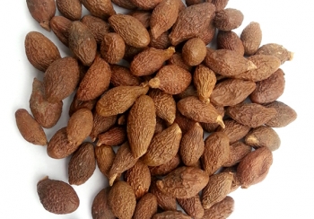 MALVA NUT