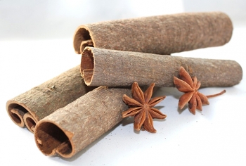 TUBE CASSIA
