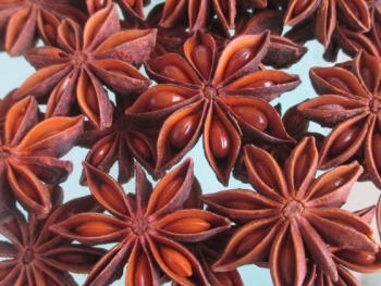 REDDISH AUTUMN STAR ANISE