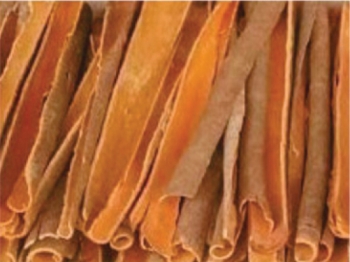 SPLIT CASSIA