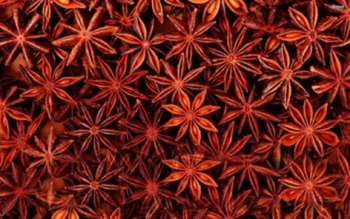 REDDISH SPRING STAR ANISE