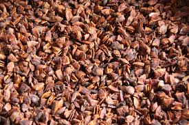 NATURAL BROKEN STAR ANISE